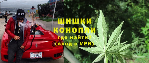 дурь Алзамай