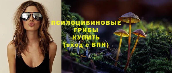 прущий лед Алексеевка