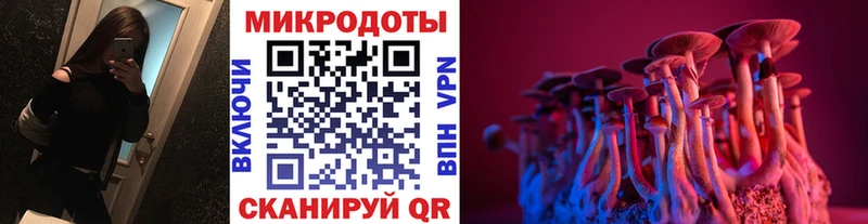 Галлюциногенные грибы Psilocybine cubensis  даркнет сайт  Карачев 